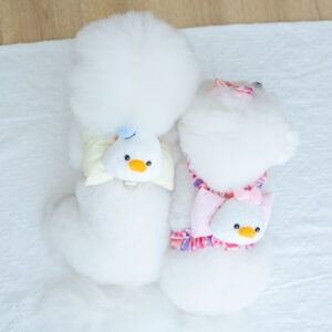 (PO) IIPE 5 - 금요일 (Friday)