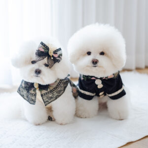 (PO) IIPE 6 - 토요일 (Saturday)