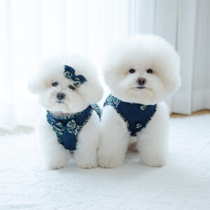 (PO) IIPE 2 - 화요일 (Tuesday)