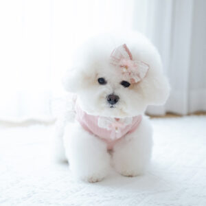 IIPE 3 - 수요일 (Wednesday)